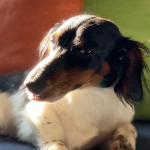 Meet your Posher, Ben